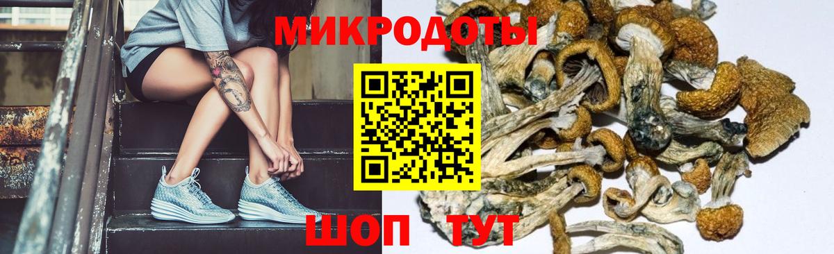 ГАШИШ Йошкар-Ола